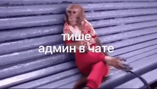 😍 320257cb тише
админ в чате обезьяна, админ, чат, мем, животное whatsapp sticker