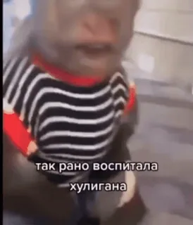 😏 35833920 так рано воспитала хулигана whatsapp sticker