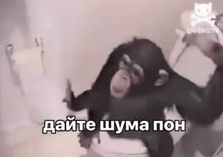 😜 8c4bb3ca дайте шума пон обезьяна, туалет, животное, человекообразная обезьяна whatsapp sticker