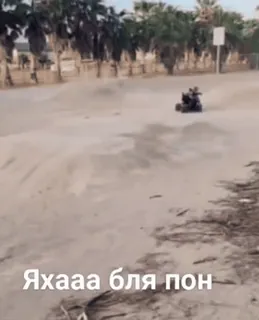 😏 a7f721d0 Яхааа бля пон whatsapp sticker