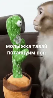 😏 b0899cea молыжка тавай потанцуим пон обезьяна, кактус, танцы, игрушка, смешной whatsapp sticker