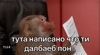 😏 c74a16ea тута написано что ти далбаеб пон обезьяна, текст, животное, русский whatsapp sticker