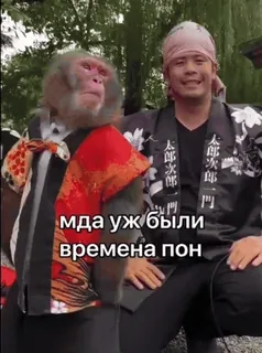 😔 e862bf07 мда уж были времена пон обезьяна, человек, одежда, раз whatsapp sticker