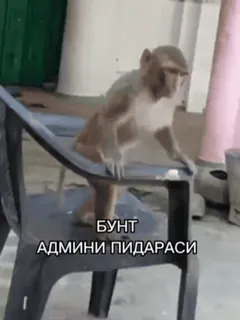 Стикеры @stickrubot @textmeru_bot telegram stickers