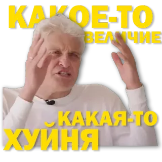 😵‍💫 409eb51c КАКОЕ-ТО ВЕЛИЧИЕ КАКАЯ-ТО ХУЙНЯ Personne, Expression, Russe, Offensant telegram sticker