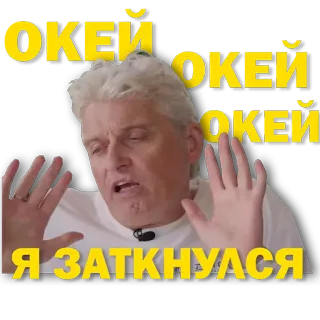 🫢 c534ab54 ОКЕЙ
Я ЗАТКНУЛСЯ ok, mec, parler, gestes telegram sticker