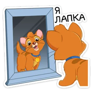 ☺️ cee2701e Я ЛАПКА 猫, 子猫, 鏡, 反射, 可愛い, ペット, 動物 telegram sticker