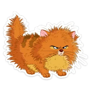 😡 e87f4978 猫, 怒り, オレンジ, 漫画, ふわふわ, ペット, 動物 telegram sticker