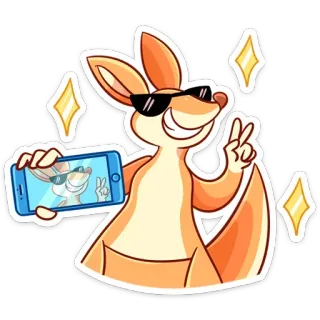 😎 73f7f000 袋鼠, 太阳镜, 自拍, 动物, 卡通, 贴纸 telegram sticker