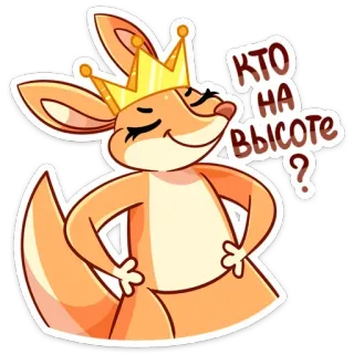 👑 fd5cd1eb КТО НА ВЫСОТЕ ? 袋鼠, 皇冠, 动物, 卡通, 贴纸, 可爱 telegram sticker