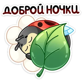 😴 1fa6a438 ДОБРОЙ НОЧКИ. てんとう虫, おやすみ, 花, 眠い, かわいい telegram sticker