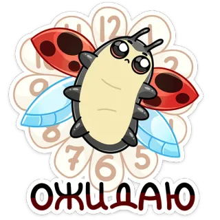 ⏳ 3def52e0 ОЖИДАЮ 虫, てんとう虫, 待機, 時計, 漫画, ステッカー telegram sticker