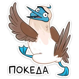 👋 53aaab29 ПОКЕДА 鸟, 蓝脚鲣鸟, 卡通, 动物, 搞笑, 波浪 telegram sticker