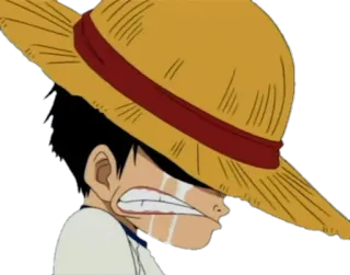 One piece stickers - Lucy_optc whatsapp stickers