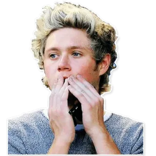🙊 24a79678 Niall Horan 奈尔·霍兰, 歌手, 流行, 名人, One Direction telegram sticker
