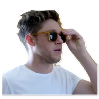 😎 3375dd2b Niall Horan 奈尔·霍兰, 单向乐队, 流行明星, 歌手, 名人, 太阳镜 telegram sticker