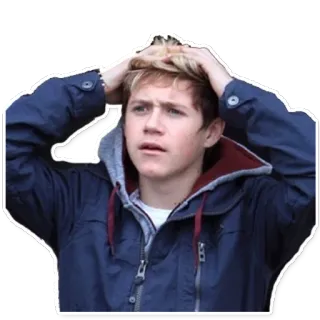 😨 adfac00e Niall Horan 尼尔·霍拉, 单向乐队, 歌手, 名人, 流行明星, 沮丧, 担心 telegram sticker