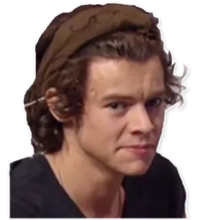 😕 aea9e564 Harry Styles 哈利·斯泰尔斯, 歌手, 名人, 音乐家, 流行歌星 telegram sticker