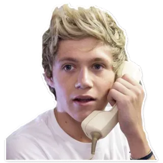 📞 e01aff00 Niall Horan 尼尔·霍拉尼, 单向乐队, 歌手, 名人, 电话, 说话, 人, 音乐家 telegram sticker