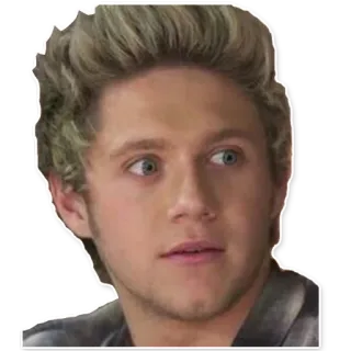 😟 f94d781b Niall Horan 奈尔·霍兰, 单向乐队, 歌手, 名人, 流行歌星, 肖像 telegram sticker