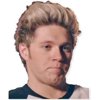 😕 fa4538fd Niall Horan 奈尔·霍兰, 歌手, 单向乐队, 流行歌星, 名人 telegram sticker