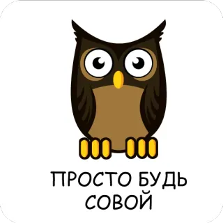 🦉 72347c04 ПРОСТО БУДЬ СОБОЙ gufo, uccello, carino, cartone animato, animale, testo russo, sii te stesso whatsapp sticker