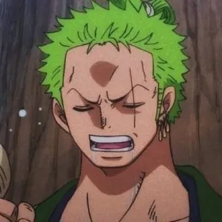 😫 5a878adf Roronoa Zoro One Piece Anime, Schwert, Krieger, Narbe, grüne Haare, Zoro whatsapp sticker