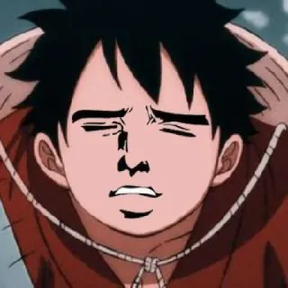 🤨 16f1a287 Monkey D. Luffy One Piece アニメ, ワンピース, ルフィ, 漫画, 面白い, ミーム telegram sticker