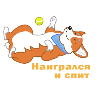 😴 80890ece Наигрался и спит หมา, คอร์กี้, นอน, เล่น, ลูกบอล, น่ารัก telegram sticker