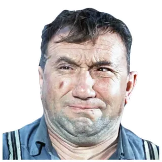 👀 31e55907 telegram sticker