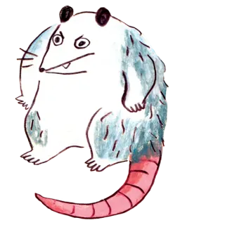 😠 a1043099 opos, dydelf, zwierzę, torbacz, słodki, naklejka telegram sticker