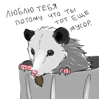 ❤️ 4dafe754 Opossum, Vuilnisbak, Dier, Leuk, Sticker telegram sticker