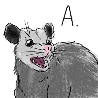 🗣 55869c40 Opossum, Dier, Buideldier, Cartoon, Tekening, Bang, Grappig telegram sticker