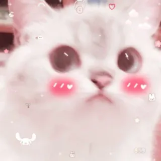 💖 09e6ca9a 猫, 可爱, 卡哇伊, 宠物, 动物, 贴纸, 小猫 telegram sticker