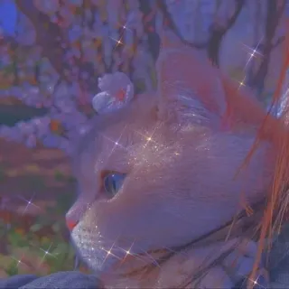 💖 6493be53 猫, 动物, 宠物, 可爱, 小猫 telegram sticker