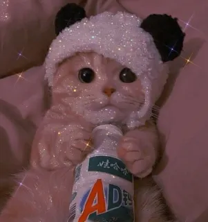 💖 c25e30b1 AD钙哈哈 猫, 小猫, 牛奶, 可爱, 动物, 闪亮, 帽子, 熊猫 telegram sticker