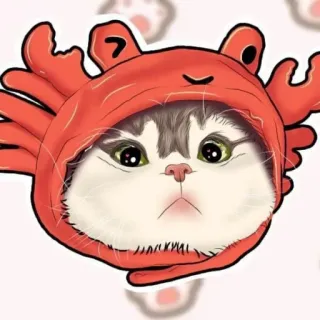 🌟 bfe2c199 chat, crabe, animal, mignon, animal de compagnie, chaton, capuche telegram sticker