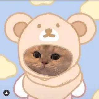 🌟 c8443ecd chat, animal, chaton, mignon, ours, chapeau, autocollant telegram sticker