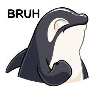 Косатик :: @stickroom telegram stickers