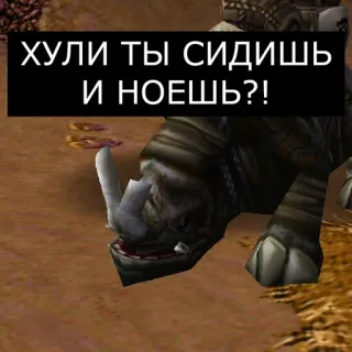 🧐 169745b9 ХУЛИ ТЫ СИДИШЬ И НОЕШЬ?! แรด, สัตว์, ข้อความ, รัสเซีย telegram sticker