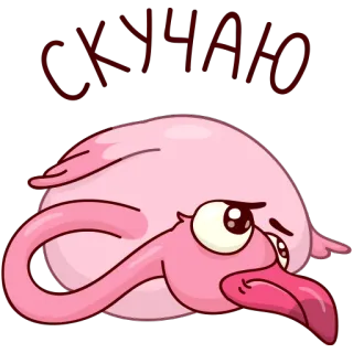 Страус Ейо telegram stickers