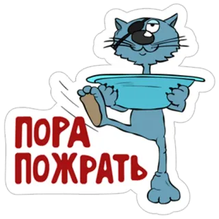 🍔 a98880aa ПОРА ПОЖРАТЬ mèo, đói, thức ăn, tiếng Nga, phim hoạt hình whatsapp sticker