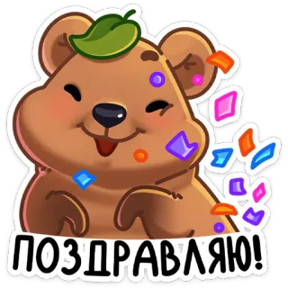 🥳 cb83dcd7 ПОЗДРАВЛЯЮ! feest, beer, confetti, schattig, cartoon, dier, groet telegram sticker