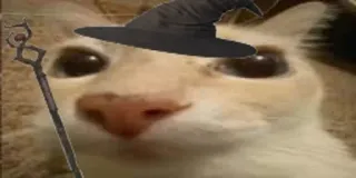 🪄 08ba44a0 kat, tovenaar, magie, hoed, staf whatsapp sticker