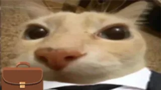 😐 111485f0 kat, pak, aktetas, zaken, dier whatsapp sticker