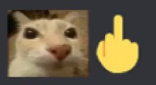 🖕 24250805 kat, middelvinger, aanstootgevend whatsapp sticker