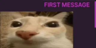 😐 36ac98a0 FIRST MESSAGE kat, dier, bericht whatsapp sticker