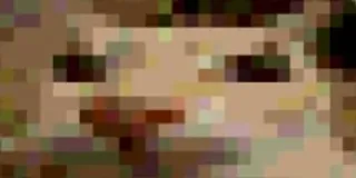 🫥 4225742d whatsapp sticker