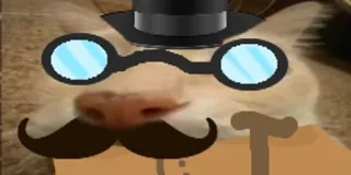 🥸 64631185 kat, hoed, snor, bril, stok, gentleman whatsapp sticker