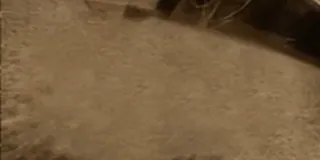 🫥 6c5b153c whatsapp sticker